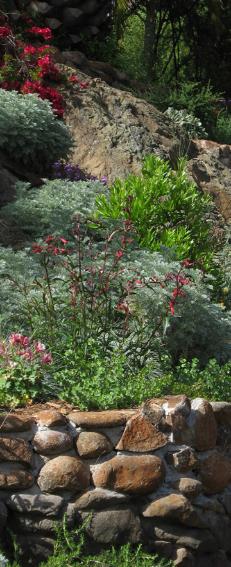 retaining wall with flowers, plants and trees above