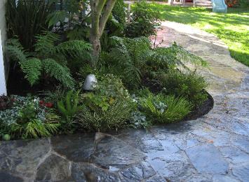 ferns and trees with flagstone pathway