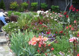 clay pots filled with plants on patio