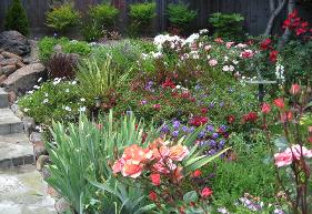 flowers and plants with stone steps alongside