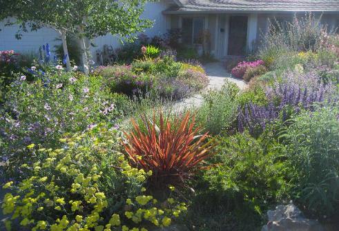 flagstone pathway with palnts on either side leading to house door